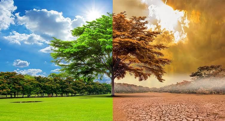 Fórum reúne especialistas em Porto Alegre para debater saúde, emergência climática e transição energética