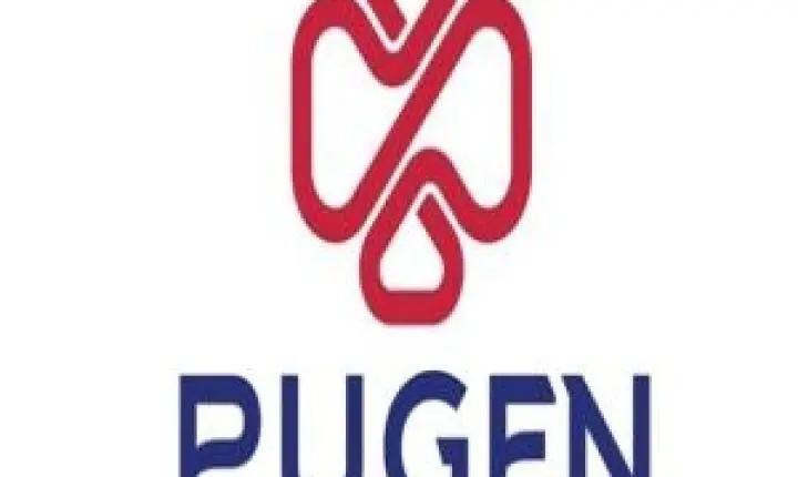 Grupo Pugen